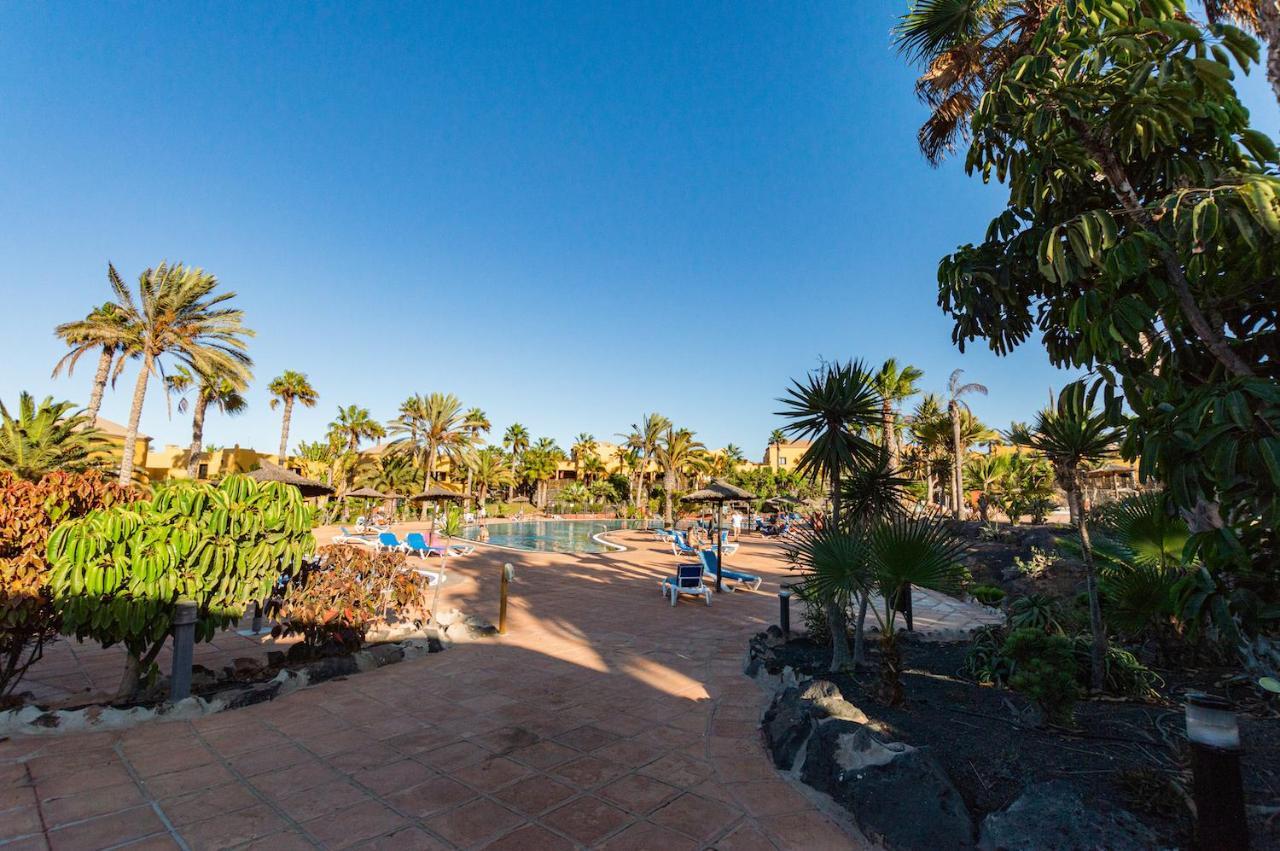 La Vista Bonita Leilighet Corralejo Eksteriør bilde